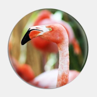 Flamingo Pin