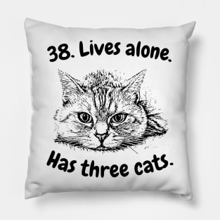 38. Lives alone. Has three cats. Funny Pillow