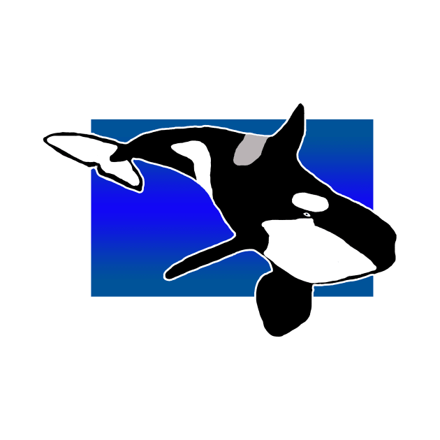 Orca by Shyflyer