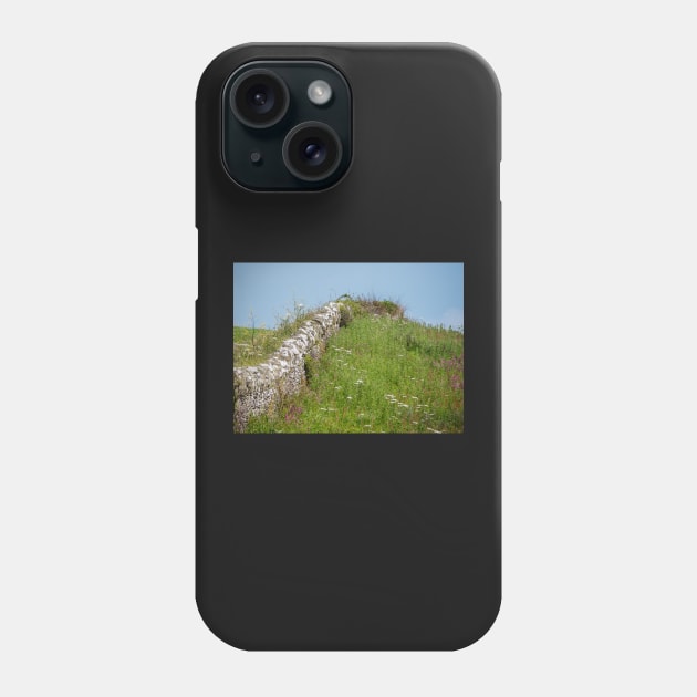 Wembury Dry Stone Wall Phone Case by jonrendle