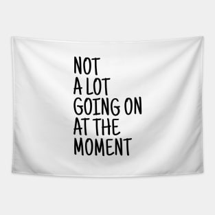 Not A Lot Going On At The Moment - Funny Sayings Tapestry