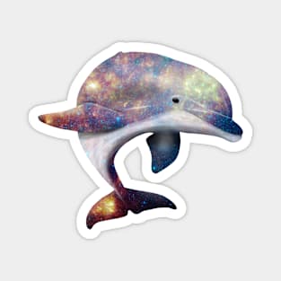 Galaxy Dolphin Magnet