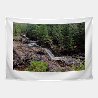 Amnicon Falls State Park Wisconsin Tapestry