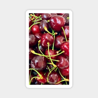 CHERRY COLLECTION Magnet