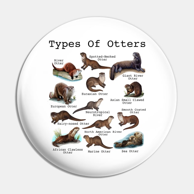 Otters Sea Otter Giant Otter Educational Animal Pin by Studio Hues