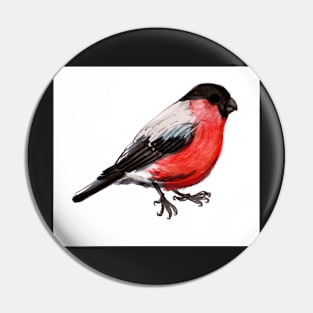 Bullfinch Pin