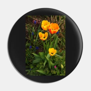 Tulips Pin