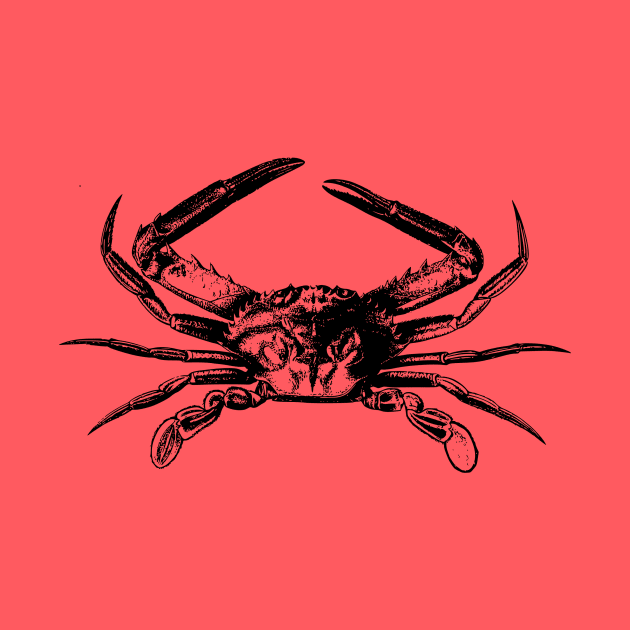 Crab by linesdesigns