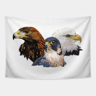 Peregrine Falcon and Eagles Tapestry