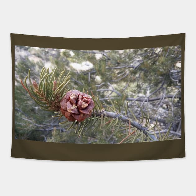 Pine Cone Tapestry by Abnormal