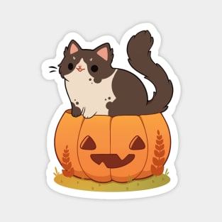 Pumpkin tuxedo cat Magnet