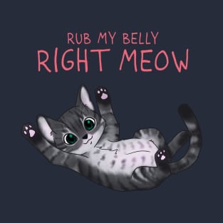 Right Meow T-Shirt