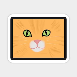 Orange Kitty Mask Magnet