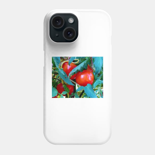 Ripe Red Tomatoes Phone Case by Cynthia48