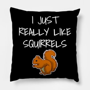 I Just Really Like Squirrels Pillow