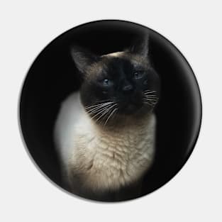 Blue-eyed Siamese cat Pin