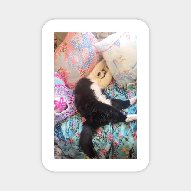 Tuxedo Cat Funny "Let Me Sleep!" Cute Sleeping Upside-Down Magnet by SarahRajkotwala