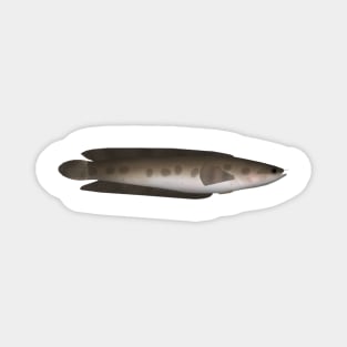 African Obscure Snakehead Magnet