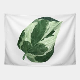 Pothos Pearl and Jade Leaf Tapestry