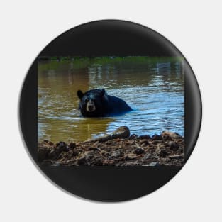 Bear Bath Pin