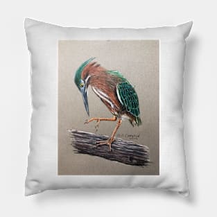 Green Heron Pillow