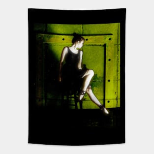 Beautiful girl, ballet dancer, near the concrete wall with iron plate. Roughness and tenderness. Tapestry