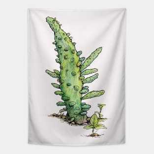 Opuntia Variegata Tapestry