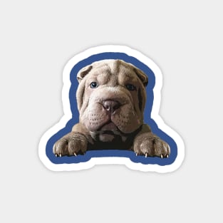 Shar Pei Cute Puppy Dog Magnet