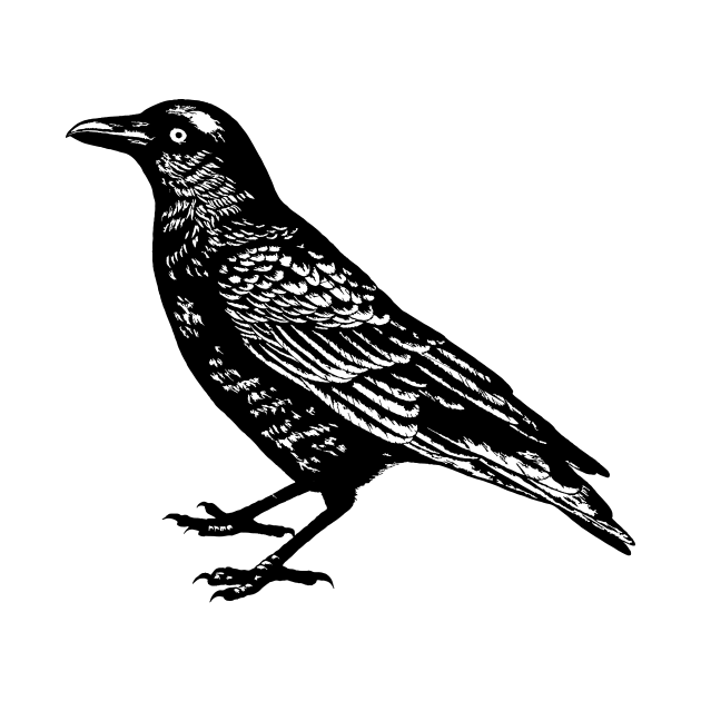 Vintage Crow by n23tees