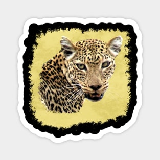 Leopard - Big Cat - Cat - Africa Magnet