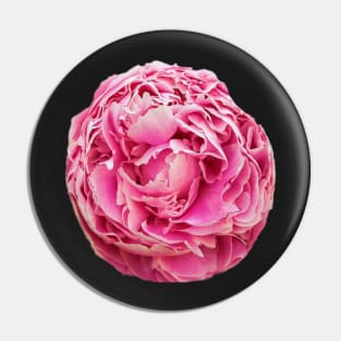 Peony arrangement Pin