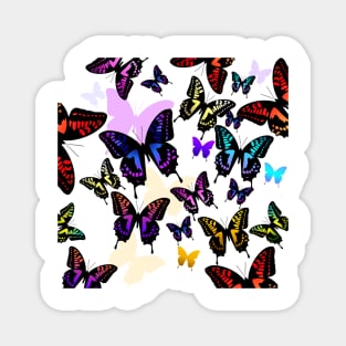 Assorted Colours Of Butterflies Magnet