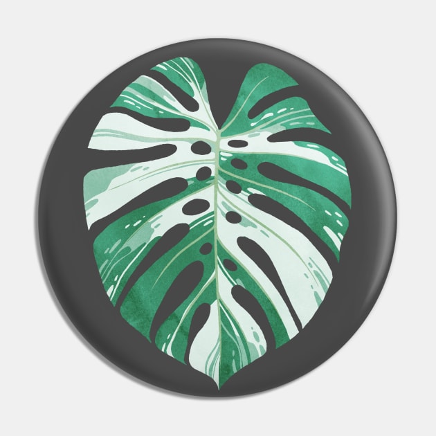 Monstera variegata leaf Pin by ikerpazstudio