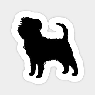 Affenpinscher Silhouette(s) Magnet