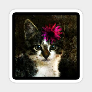 Kitten With Flower Portrait Magnet