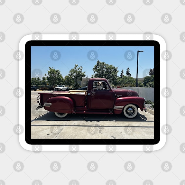 1949 Chevy 3100 Magnet by Nenas60