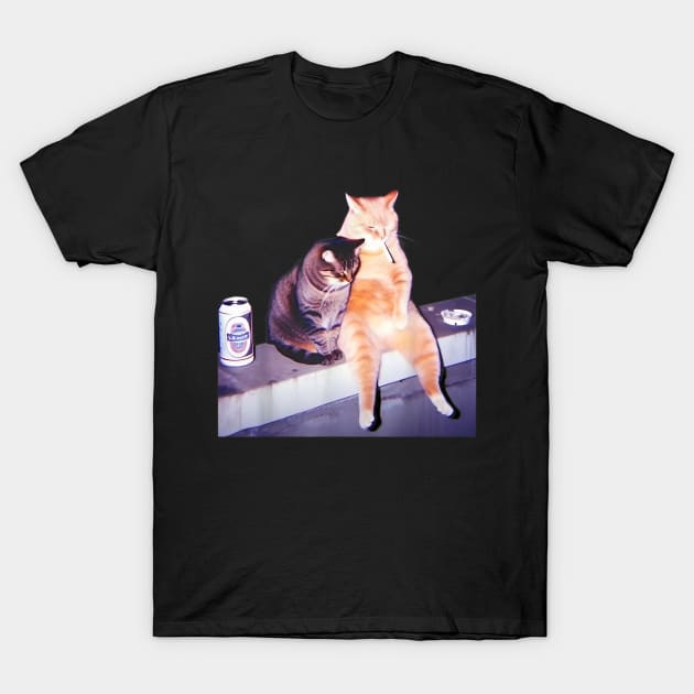 Funny Smoking Cat Cigarette Kitty Gen Z Meme Cat Lovers