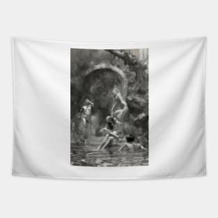 Fountain of youth collection Tapestry