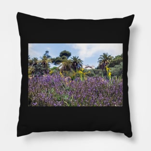 Lush purple sage flowers with palms in the background Pillow