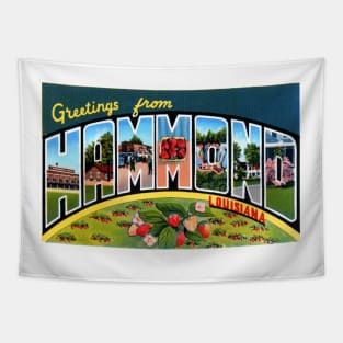 Greetings from Hammond Louisiana, Vintage Large Letter Postcard Tapestry