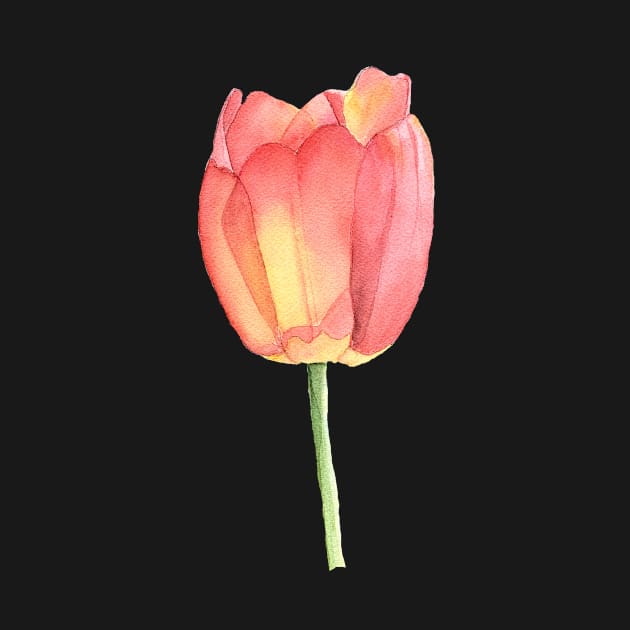 Single Tulip in Sunlight by Sandraartist