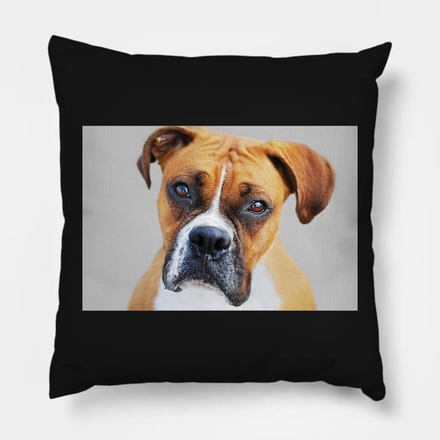 "I understand..." Pillow by LaurieMinor