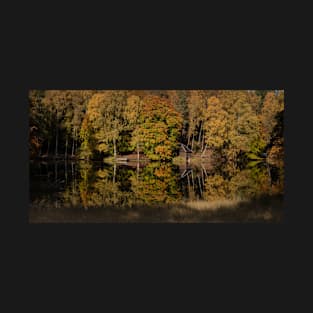 'Autumn Magic 6', Loch Dunmore, Pitlochry T-Shirt