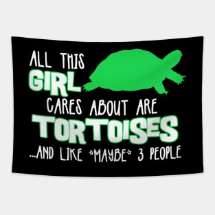 All this GIRL cares about are TORTOISES... and like *maybe* 3 people Tapestry