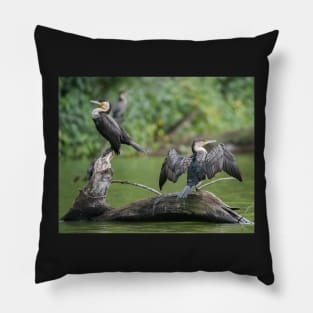 Cormorant Pillow