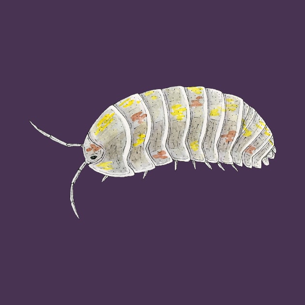 Armadillidium Vulgare "Magic Potion Orange Spot" by paintedpansy