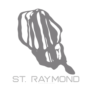 St. Raymond Resort 3D T-Shirt