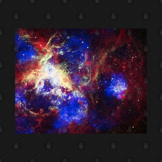 A New View of the Tarantula Nebula by The Black Panther