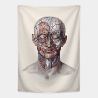 Vintage Human Anatomy, Head with Blood Vessels Tapestry