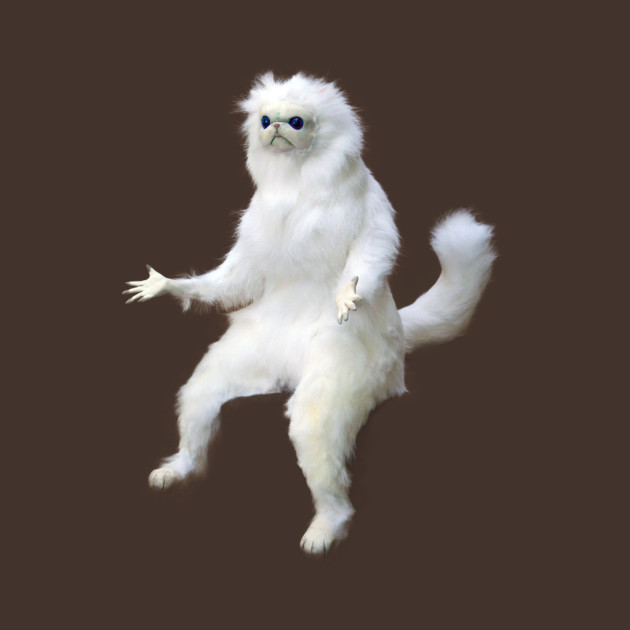 White Persian Cat Meme